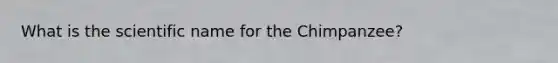 What is the scientific name for the Chimpanzee?