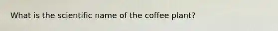 What is the scientific name of the coffee plant?
