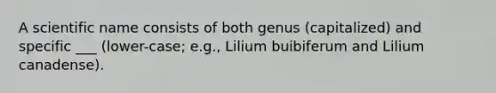 A scientific name consists of both genus (capitalized) and specific ___ (lower-case; e.g., Lilium buibiferum and Lilium canadense).