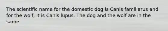 The scientific name for the domestic dog is Canis familiarus and for the wolf, it is Canis lupus. The dog and the wolf are in the same