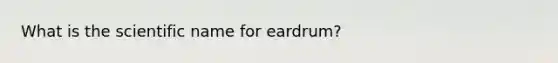 What is the scientific name for eardrum?