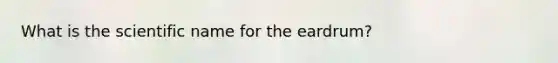 What is the scientific name for the eardrum?