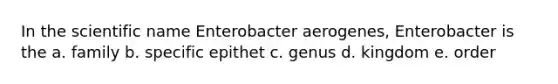 In the scientific name Enterobacter aerogenes, Enterobacter is the a. family b. specific epithet c. genus d. kingdom e. order