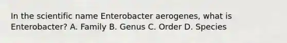 In the scientific name Enterobacter aerogenes, what is Enterobacter? A. Family B. Genus C. Order D. Species