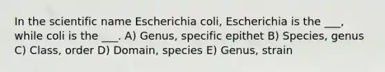 In the scientific name Escherichia coli, Escherichia is the ___, while coli is the ___. A) Genus, specific epithet B) Species, genus C) Class, order D) Domain, species E) Genus, strain