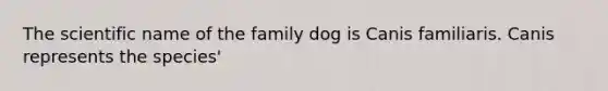 The scientific name of the family dog is Canis familiaris. Canis represents the species'