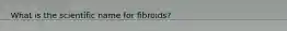 What is the scientific name for fibroids?