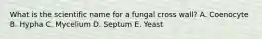 What is the scientific name for a fungal cross wall? A. Coenocyte B. Hypha C. Mycelium D. Septum E. Yeast