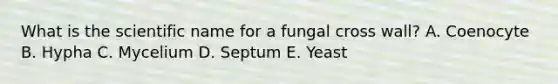 What is the scientific name for a fungal cross wall? A. Coenocyte B. Hypha C. Mycelium D. Septum E. Yeast