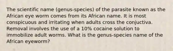 The scientific name (genus-species) of the parasite known as the African eye worm comes from its African name. It is most conspicuous and irritating when adults cross the conjuctiva. Removal involves the use of a 10% cocaine solution to immobilize adult worms. What is the genus-species name of the African eyeworm?