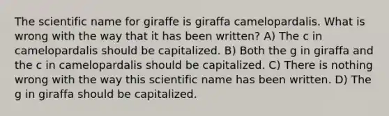 The scientific name for giraffe is giraffa camelopardalis. What is wrong with the way that it has been written? A) The c in camelopardalis should be capitalized. B) Both the g in giraffa and the c in camelopardalis should be capitalized. C) There is nothing wrong with the way this scientific name has been written. D) The g in giraffa should be capitalized.