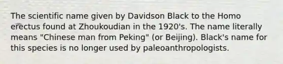 The scientific name given by Davidson Black to the Homo erectus found at Zhoukoudian in the 1920's. The name literally means "Chinese man from Peking" (or Beijing). Black's name for this species is no longer used by paleoanthropologists.