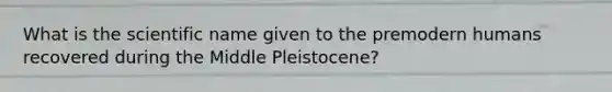 What is the scientific name given to the premodern humans recovered during the Middle Pleistocene?