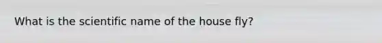 What is the scientific name of the house fly?