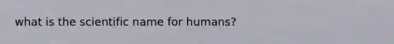 what is the scientific name for humans?