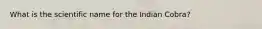 What is the scientific name for the Indian Cobra?