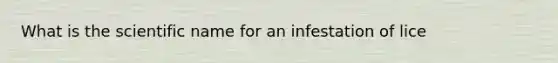 What is the scientific name for an infestation of lice