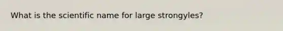 What is the scientific name for large strongyles?