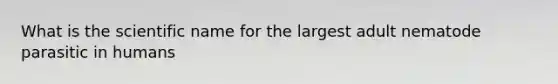 What is the scientific name for the largest adult nematode parasitic in humans