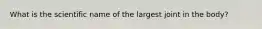 What is the scientific name of the largest joint in the body?