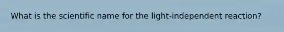 What is the scientific name for the light-independent reaction?