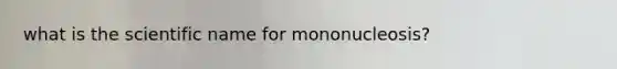 what is the scientific name for mononucleosis?