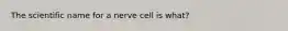 The scientific name for a nerve cell is what?