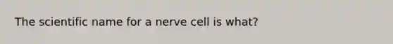 The scientific name for a nerve cell is what?