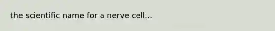 the scientific name for a nerve cell...