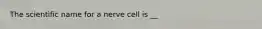 The scientific name for a nerve cell is __