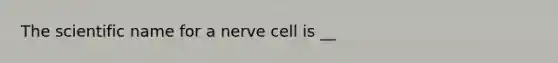 The scientific name for a nerve cell is __