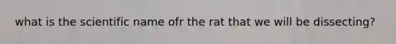 what is the scientific name ofr the rat that we will be dissecting?