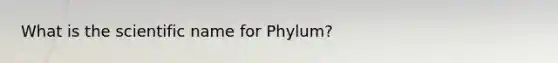 What is the scientific name for Phylum?