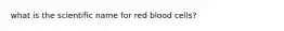 what is the scientific name for red blood cells?