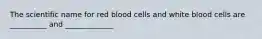 The scientific name for red blood cells and white blood cells are __________ and _____________