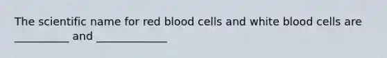 The scientific name for red blood cells and white blood cells are __________ and _____________