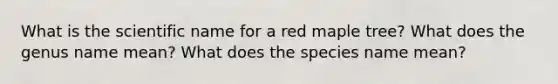 What is the scientific name for a red maple tree? What does the genus name mean? What does the species name mean?