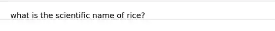 what is the scientific name of rice?