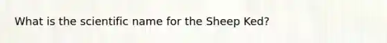 What is the scientific name for the Sheep Ked?