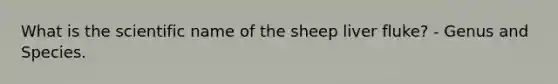 What is the scientific name of the sheep liver fluke? - Genus and Species.