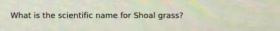 What is the scientific name for Shoal grass?