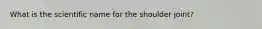 What is the scientific name for the shoulder joint?