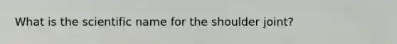 What is the scientific name for the shoulder joint?
