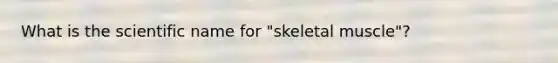 What is the scientific name for "skeletal muscle"?