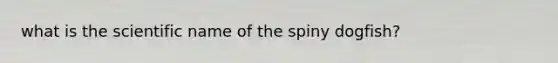 what is the scientific name of the spiny dogfish?