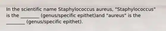 In the scientific name Staphylococcus aureus, "Staphylococcus" is the ________ (genus/specific epithet)and "aureus" is the ________ (genus/specific epithet).