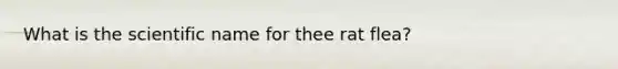 What is the scientific name for thee rat flea?