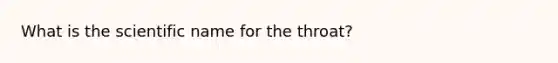 What is the scientific name for the throat?