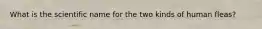 What is the scientific name for the two kinds of human fleas?