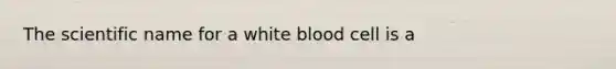 The scientific name for a white blood cell is a